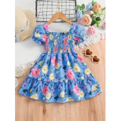 Girls Frocks (0)